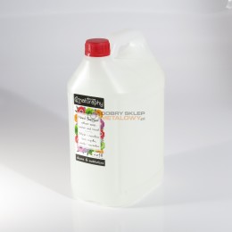 ŻEL DO DEZYNFEKCJI RĄK 5L NATURAPHY