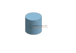 MAGNES NEODYMOWY WALCOWY 10X10 MM MW N38 MAX 4,2 KG